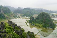 DSC05987