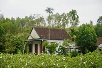 DSC06036