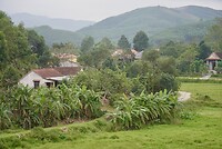 DSC06033