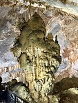 IMG_9134