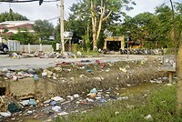 DSC06151