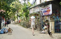 DSC06148