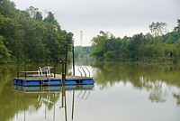 DSC06106