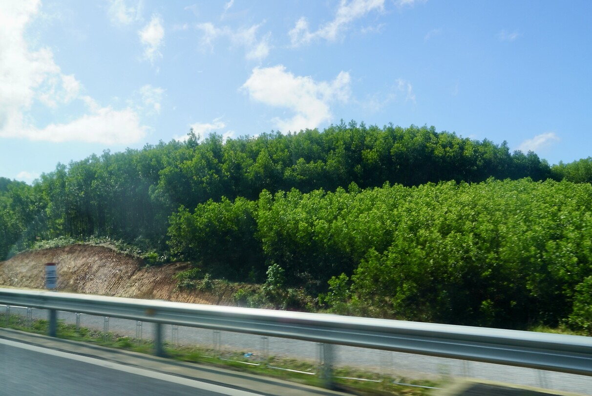 DSC06110