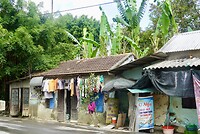 DSC06181