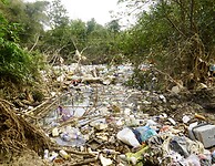 DSC06221