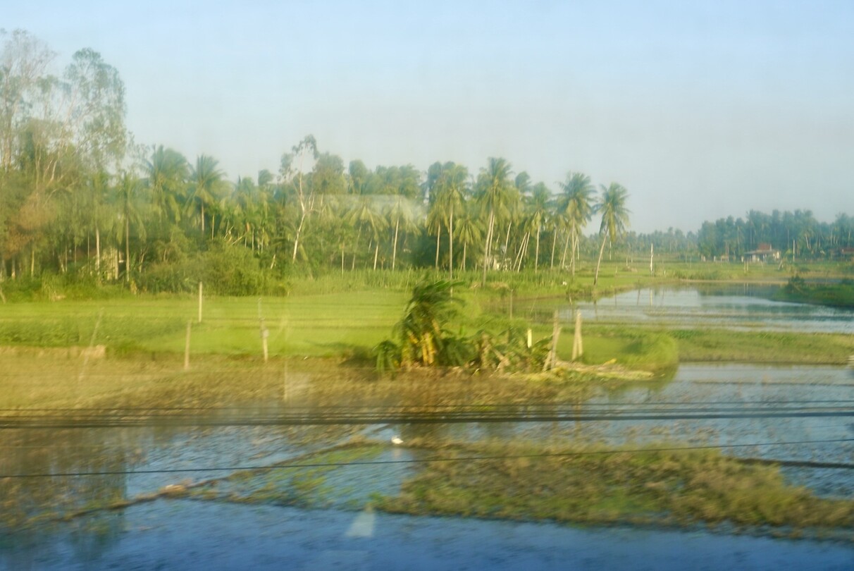 DSC06323