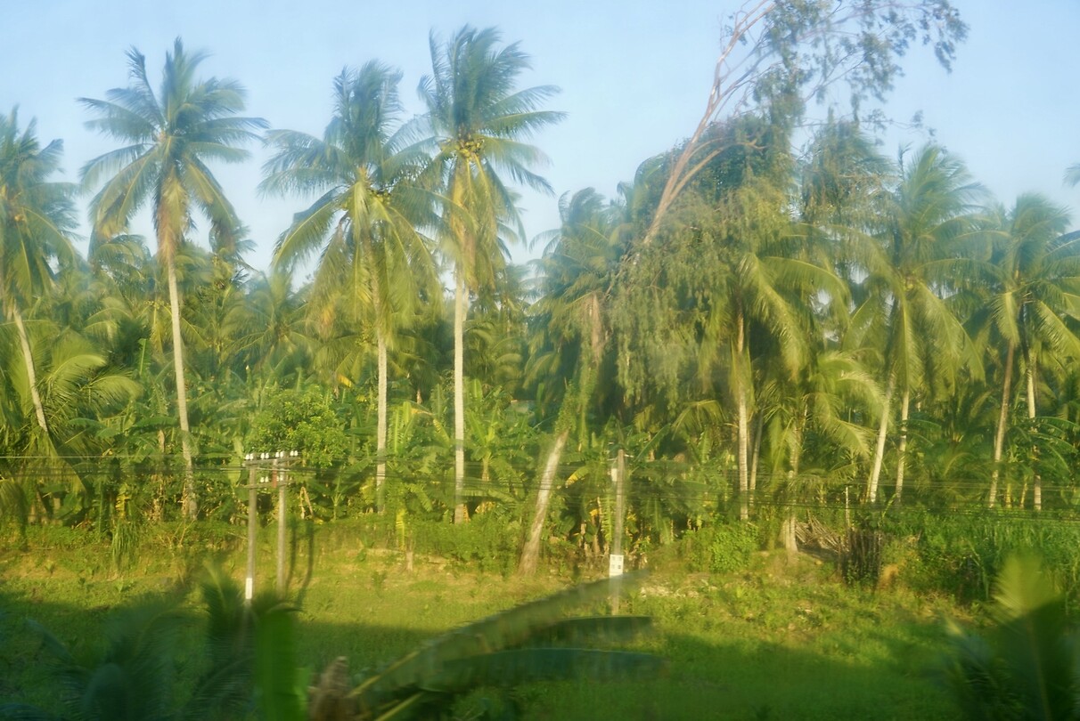 DSC06326