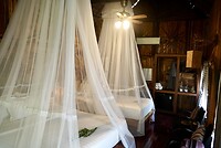 DSC06336