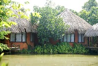 DSC06352