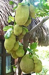 DSC06349