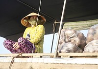 DSC06403