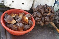 DSC06430