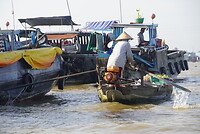 DSC06441