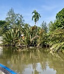 IMG_9600