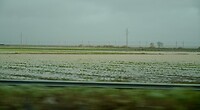 DSC06851