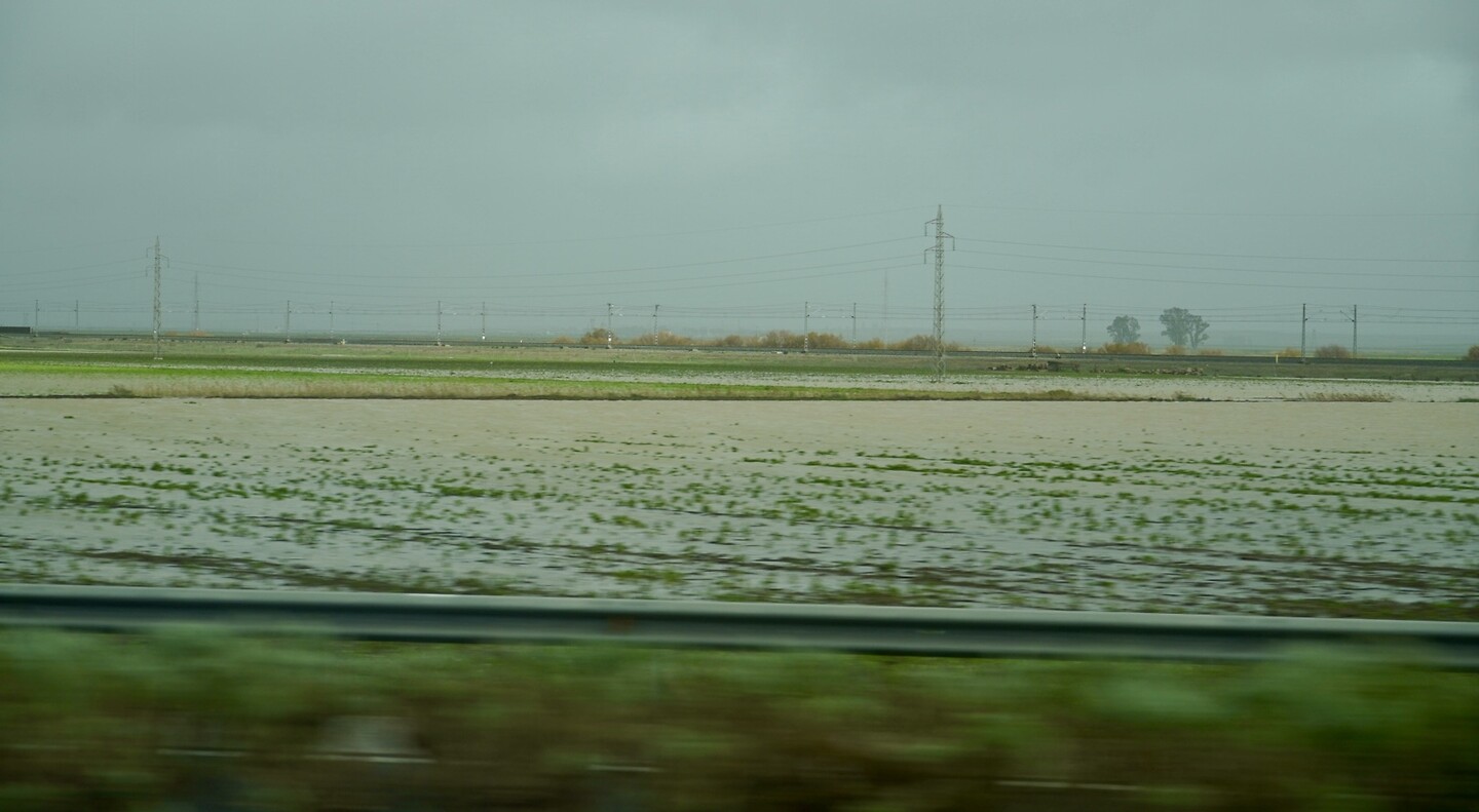 DSC06851