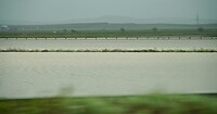 DSC06852