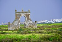 DSC06901