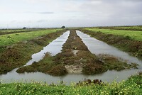 DSC06898
