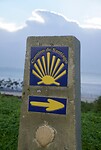 DSC06886