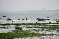 DSC06893