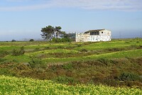 DSC06902