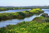 DSC06909