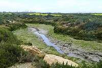 DSC06906