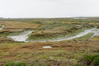DSC06903