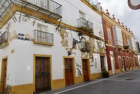 DSC06913