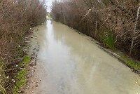 DSC06950
