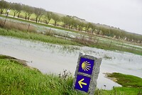 DSC06948