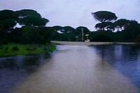 DSC06919
