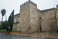 DSC06954
