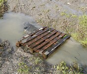 DSC06967