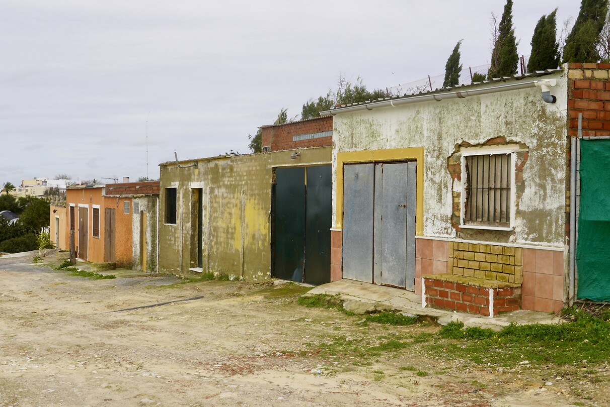 DSC06984