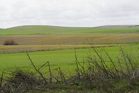 DSC06982