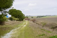 DSC06975