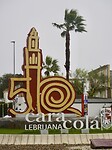 DSC06992