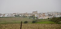 DSC06990