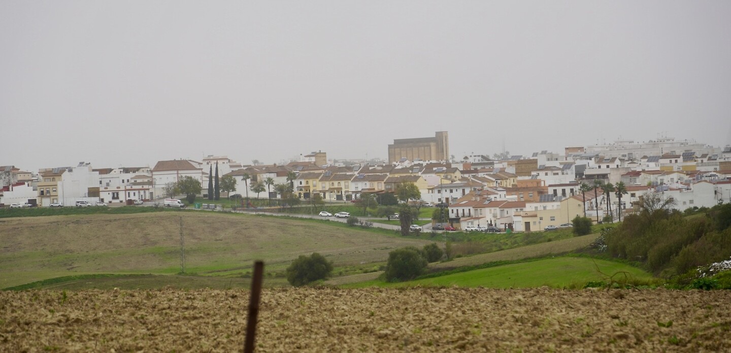 DSC06990