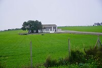 DSC06988