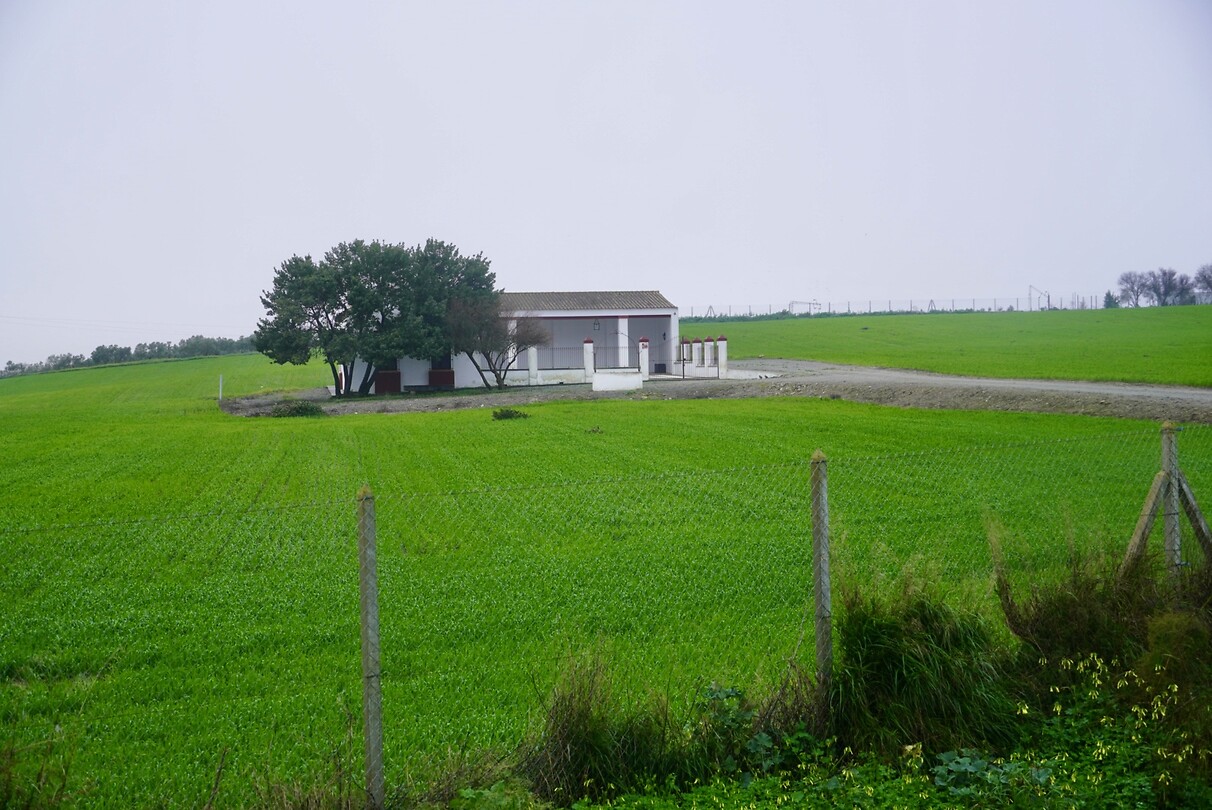 DSC06988
