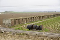 DSC07013
