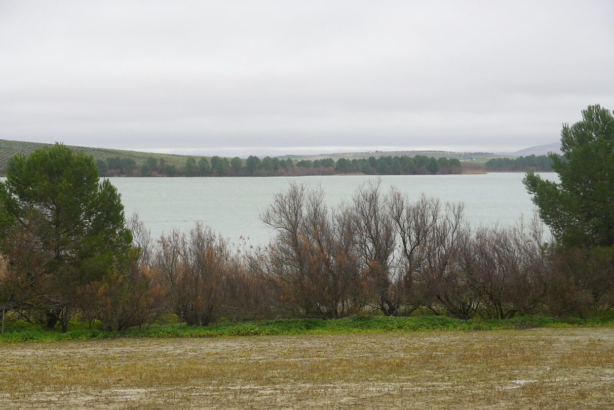 DSC07009