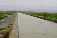 DSC07011