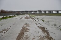 DSC07031