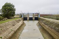 DSC07032