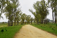 DSC07056